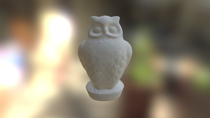 Owl 3D Model