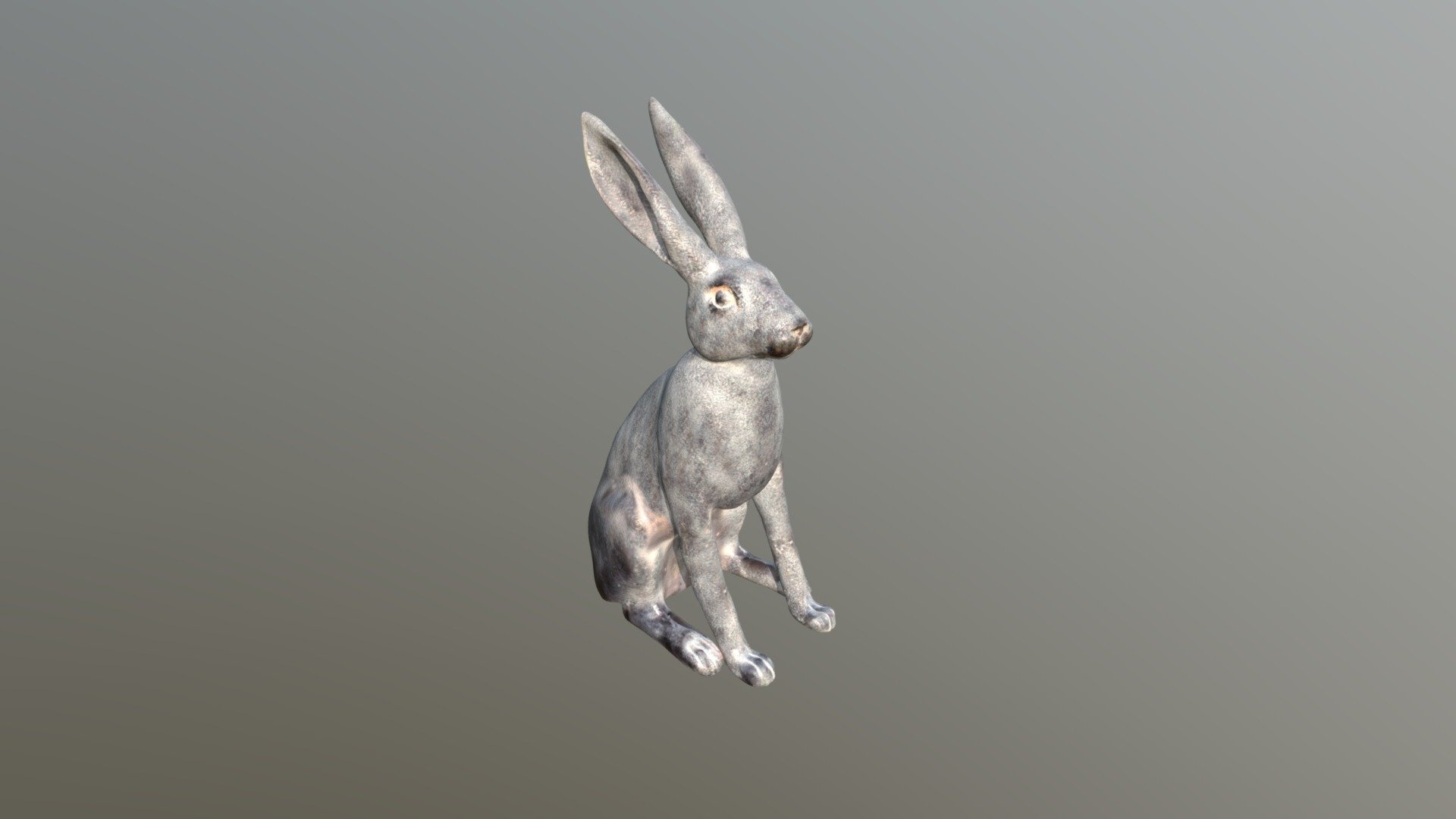 Rabbit