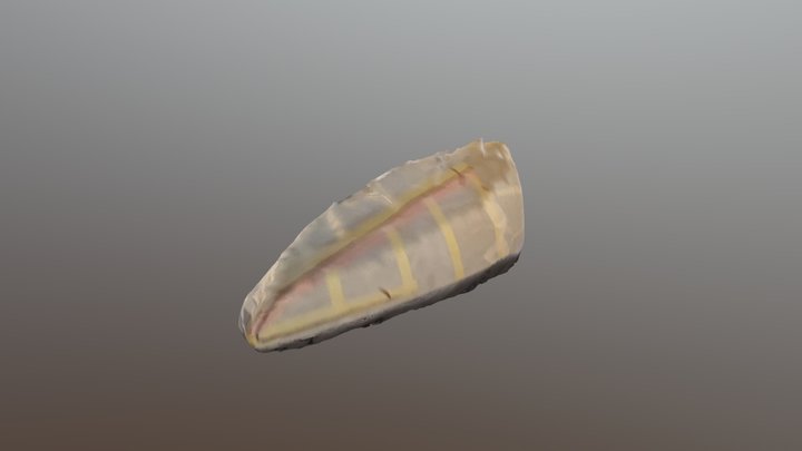 New Qlone 3D Model
