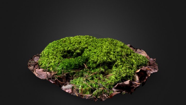 Moss clump 3D Model