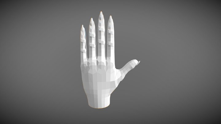 Stylized Hand Base mesh 3D Model