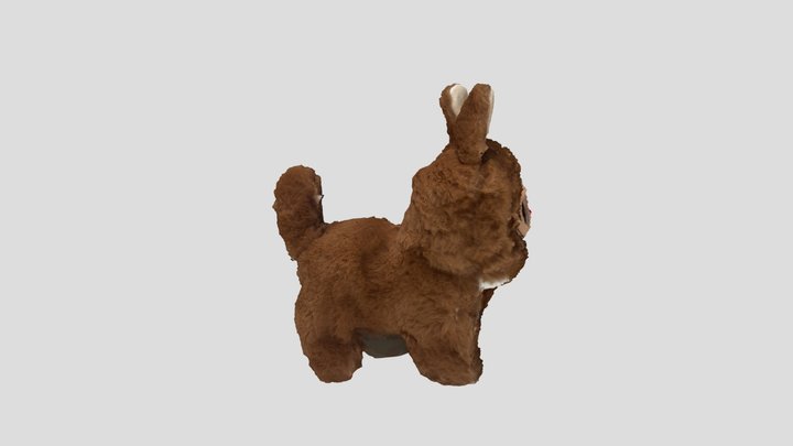 Lgg 3D Model