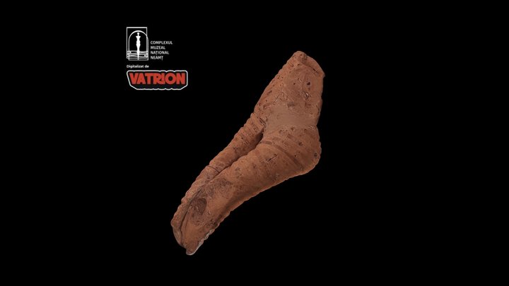 Statuetă antropomorfă/Anthropomorphic statuette 3D Model