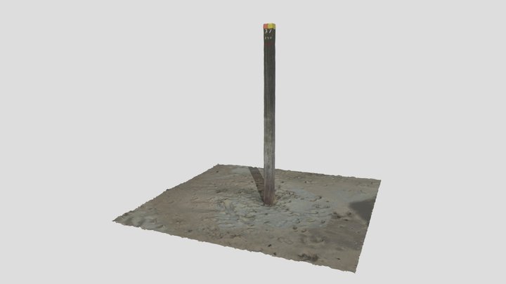 Beach Pole KM 37.250 Egmond aan Zee