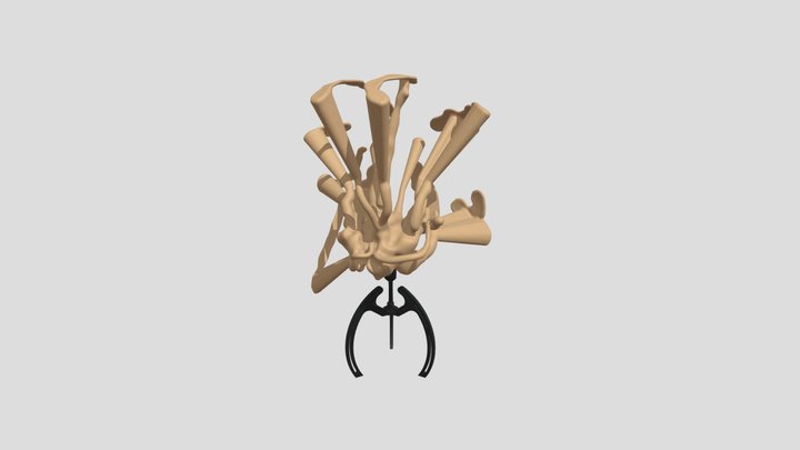 装置 3D Model