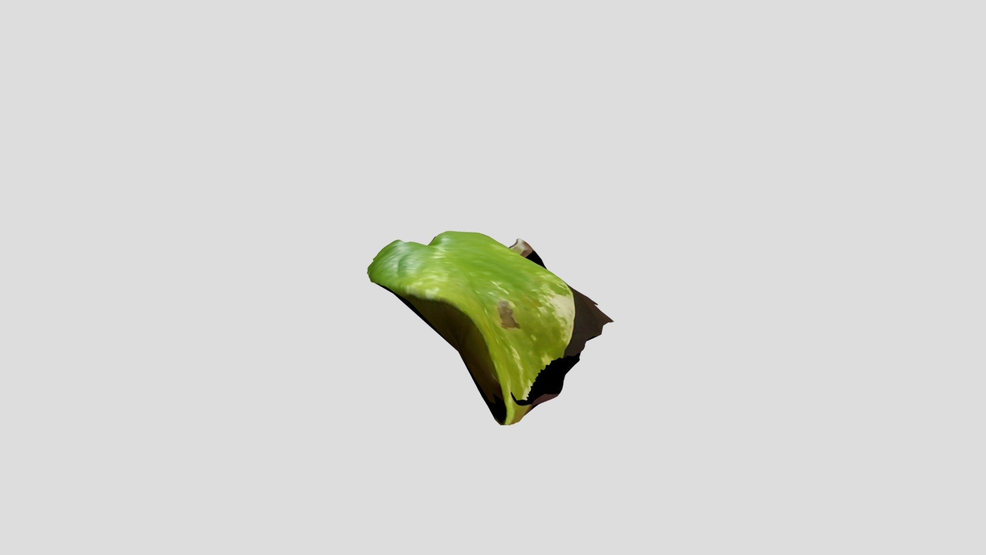 green leaf