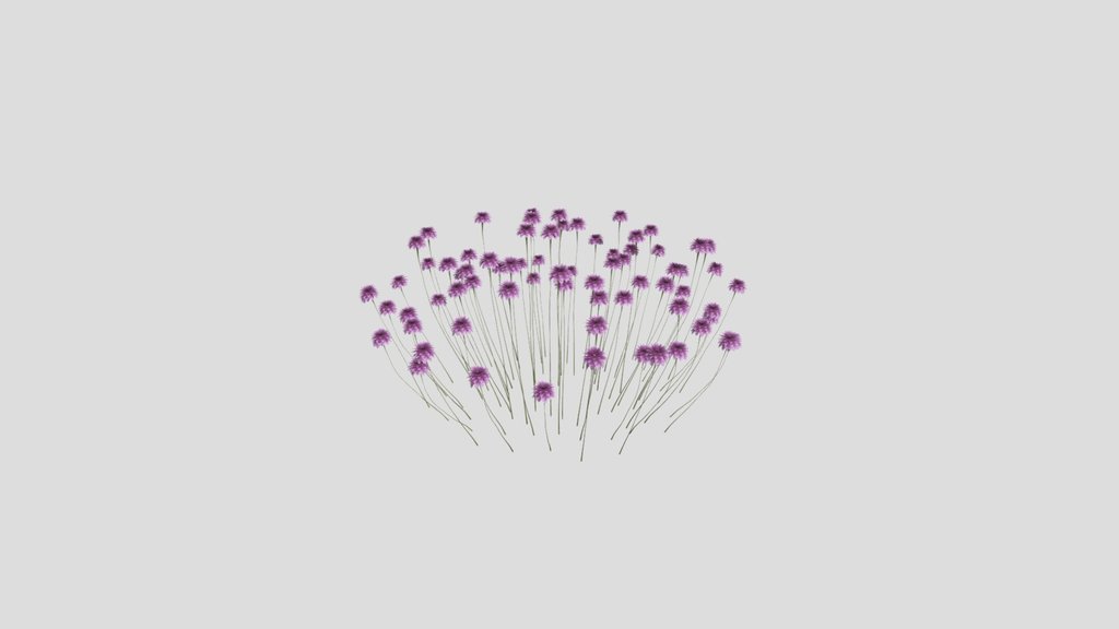 Sj Forest Whisper Blooms