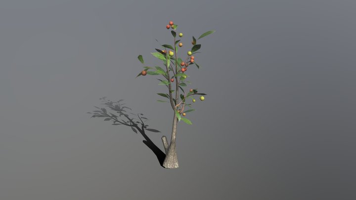 Arbutus 3D Model