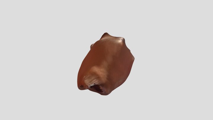 New Qlone 3D Model