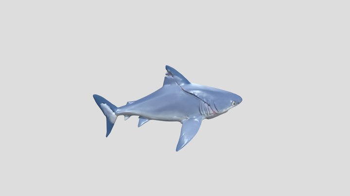 Bull shark- (pup) - (MANEATER GAME) isso é IA