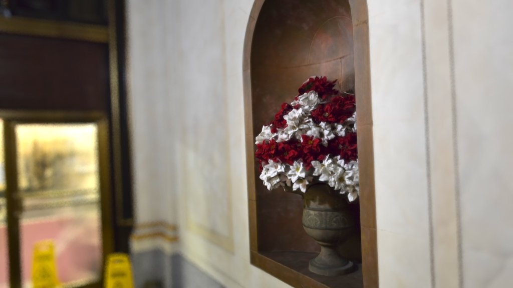 Red and white flowers