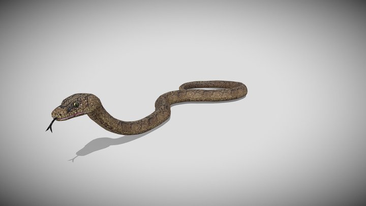 Medhue (@Medhue1) - Sketchfab