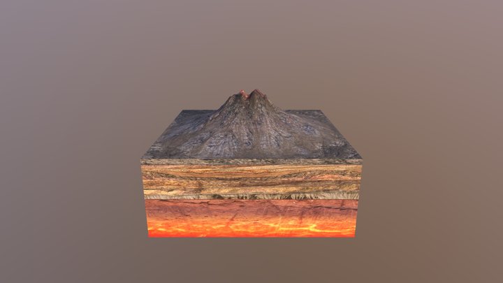 模型 3D Model