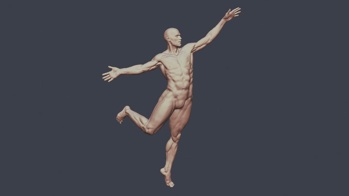 Male Body Pose - 3D Print - Anatomy 3D Model