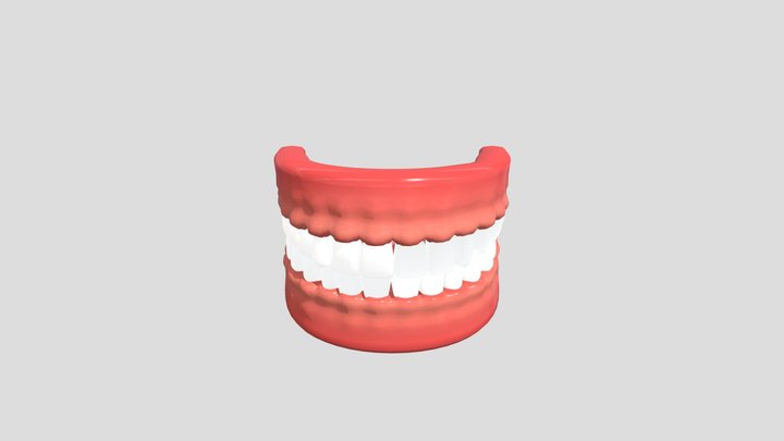 arcada dentaria 3D Model