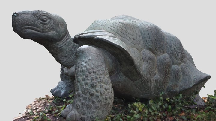 Bronze Tortoise Sculpture 3D Model