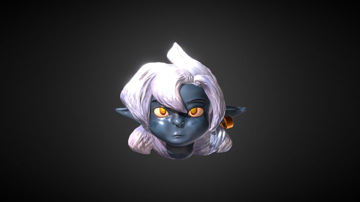Head Project 3D Model