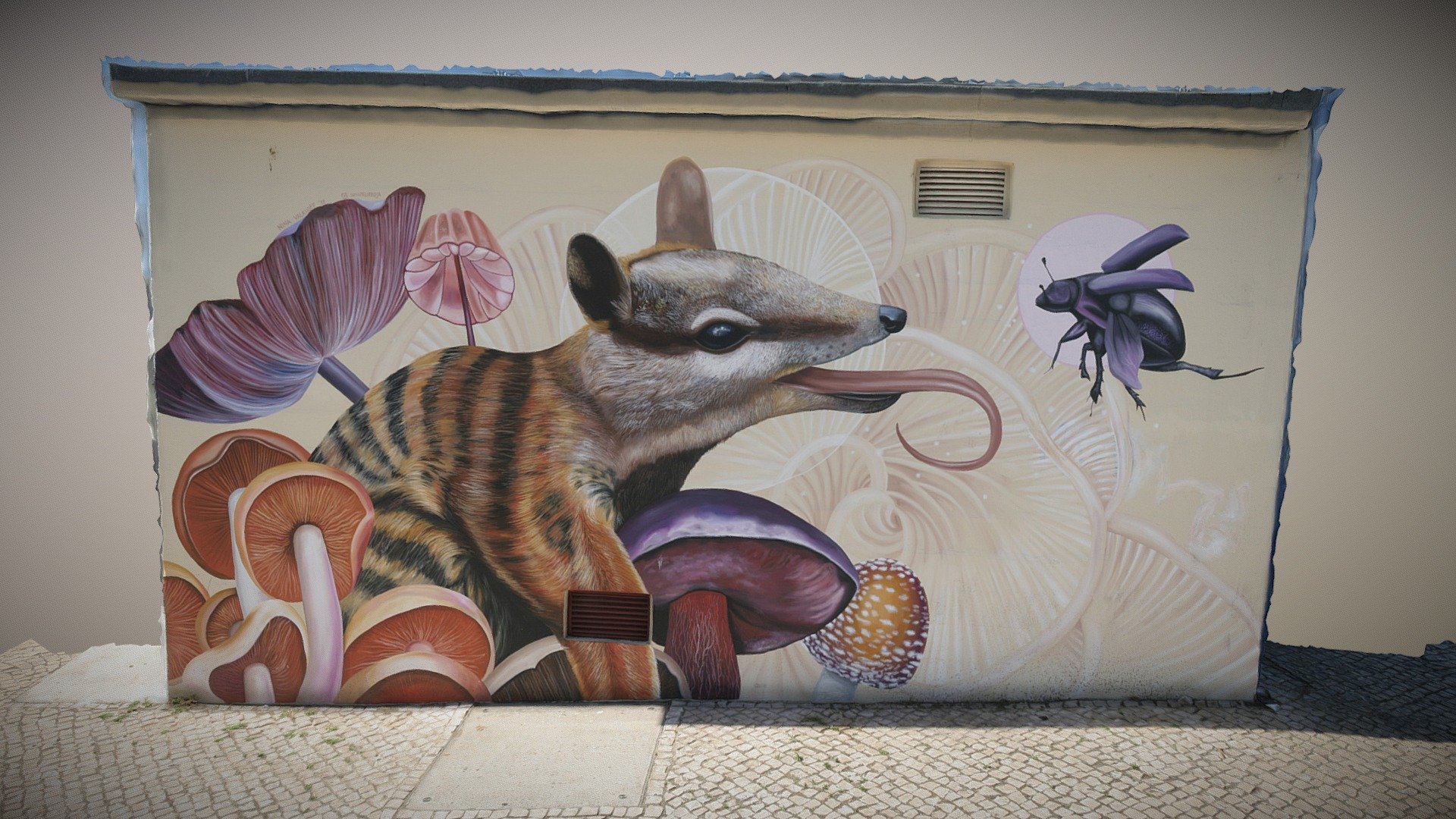 Numbat | Nina Valkhoff | Lisbon