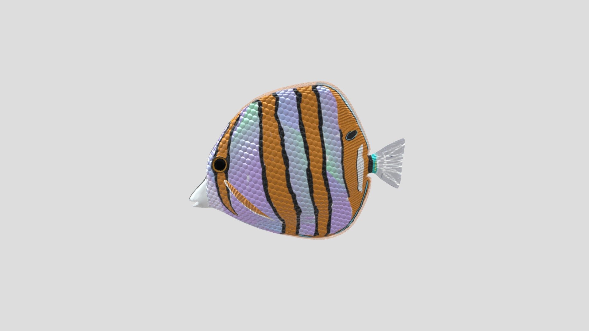 Butterfly Fish