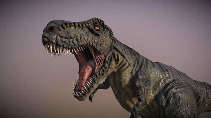 Tiranosaurio rex 3D Model