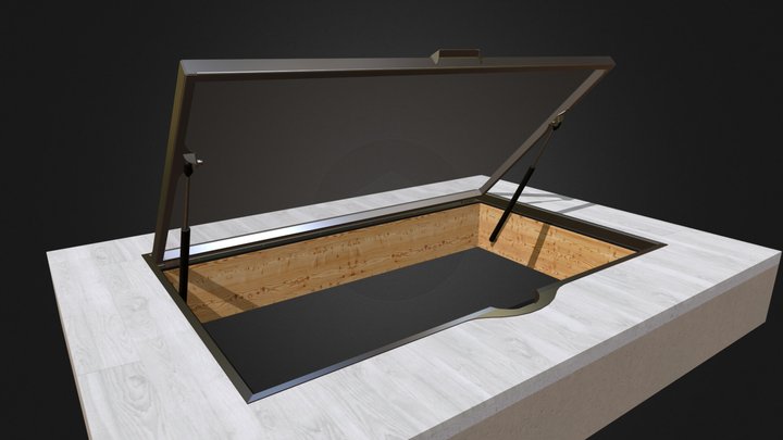 Glass cellar door 3D Model