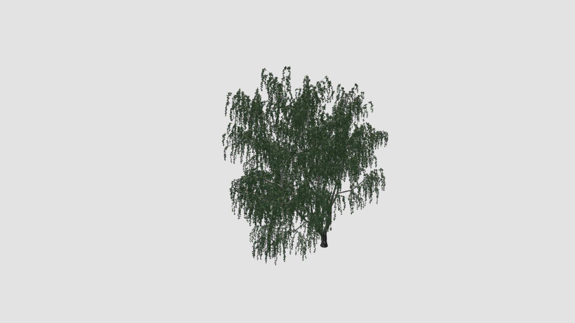 tree - Buy Royalty Free 3D model by Evermotion [1a69987] - Sketchfab Store