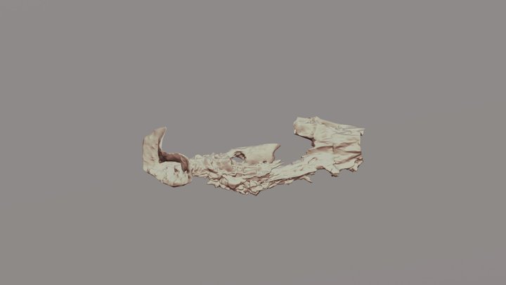 洞窟サンプル 3D Model