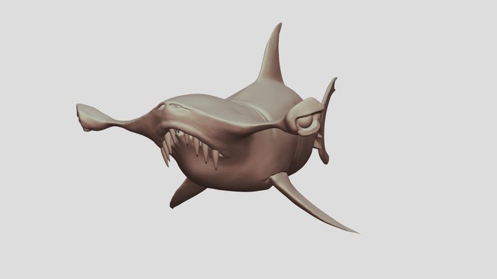 Sculpting Practice - Sculpting Sharks 3D Model