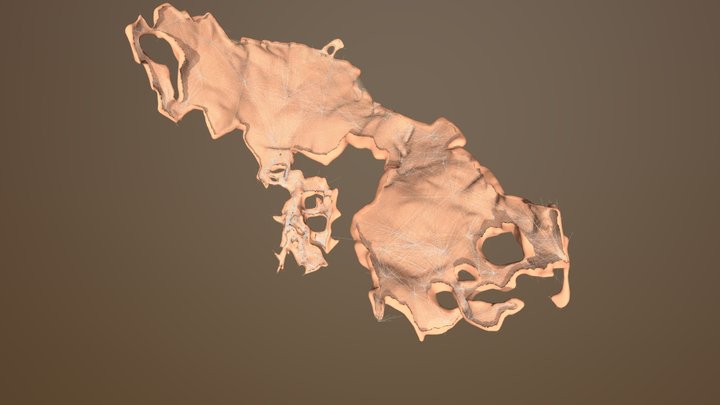Cave- Arch V3 3D Model