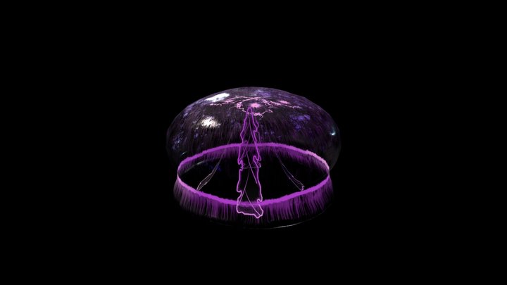 jellyfish 3D Model