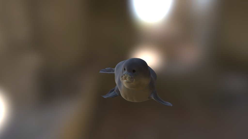 monkseal