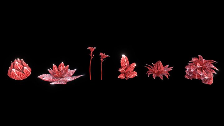 NERVE_PLANT 3D Model