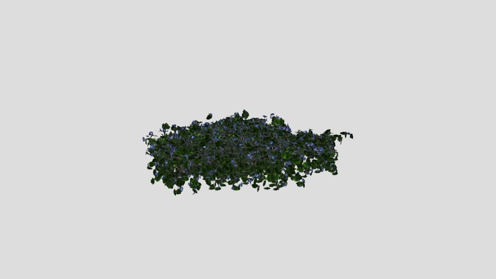 Flower Ivy Wall Plant