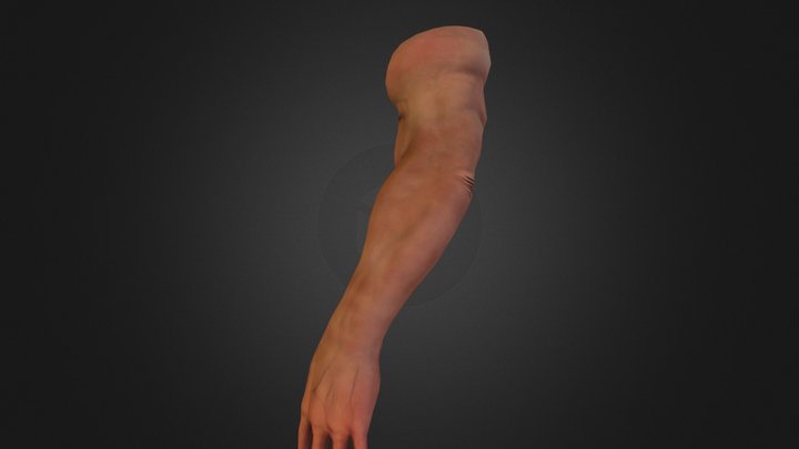 A R M 3D Model