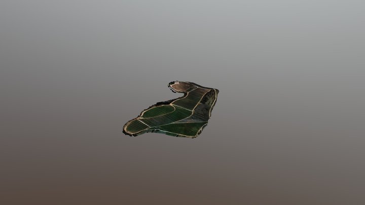 Gini HD 3D Model