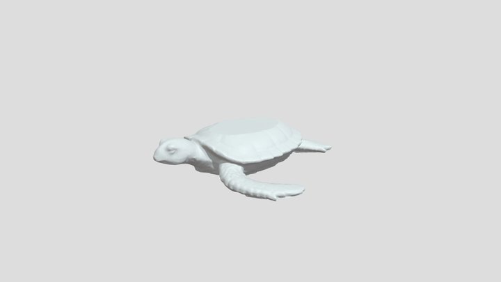 Atuin 3D Model