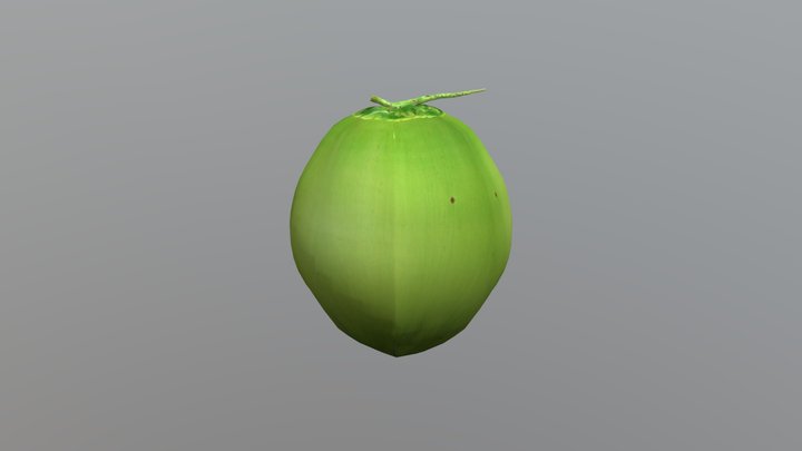 Coco 3D Model