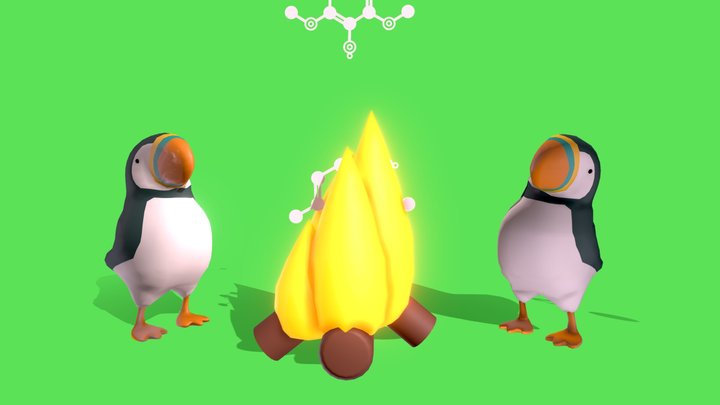 Puffin's Campfire - Compound Interest 3D Model