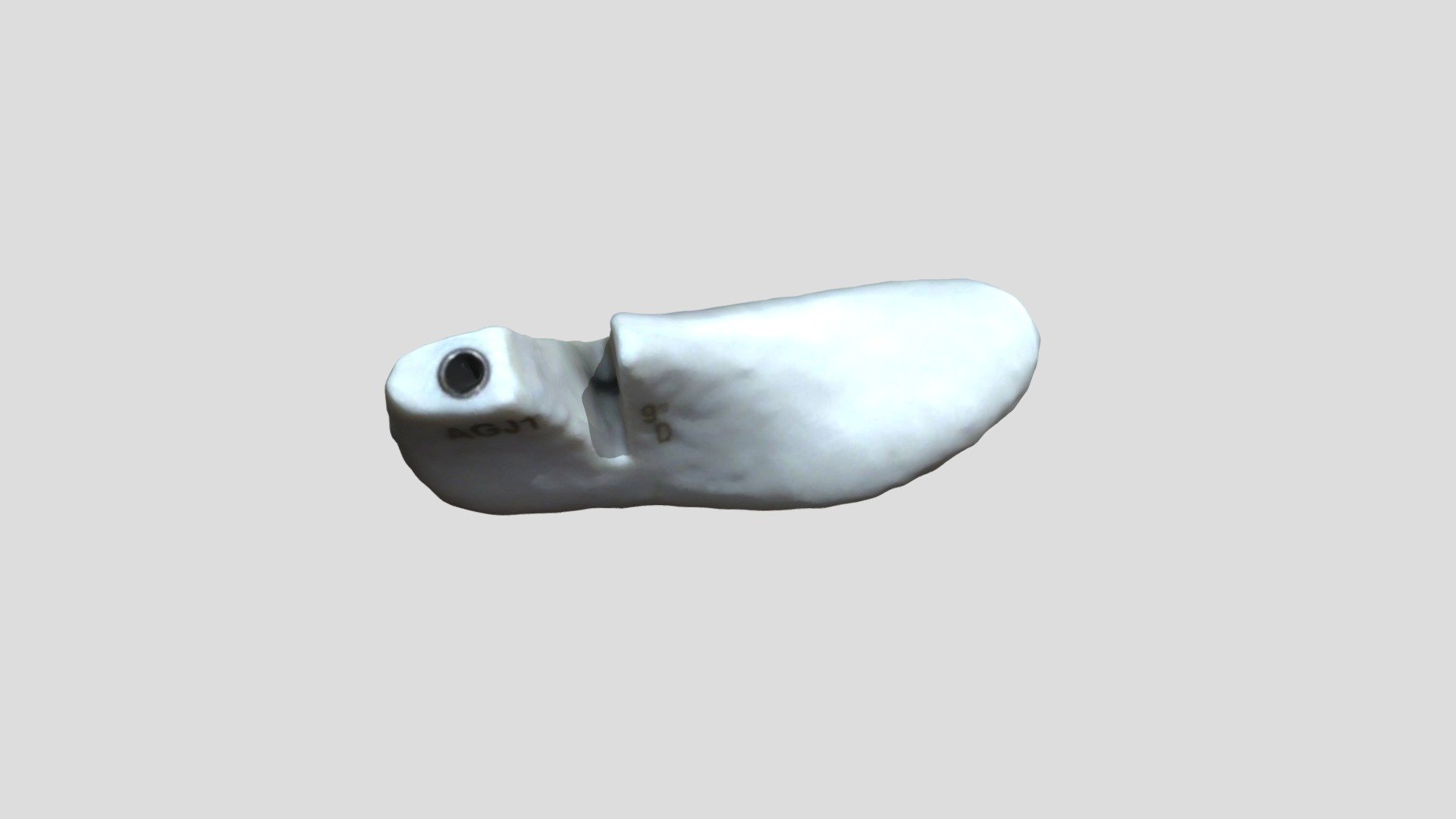 Ag1 shoe last