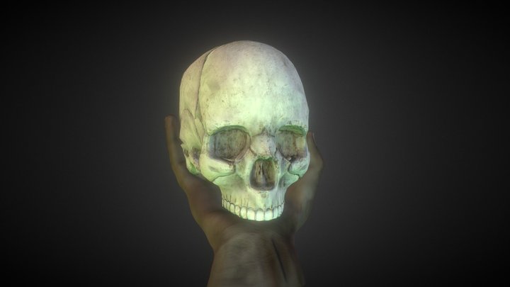Heinrich 3D Model