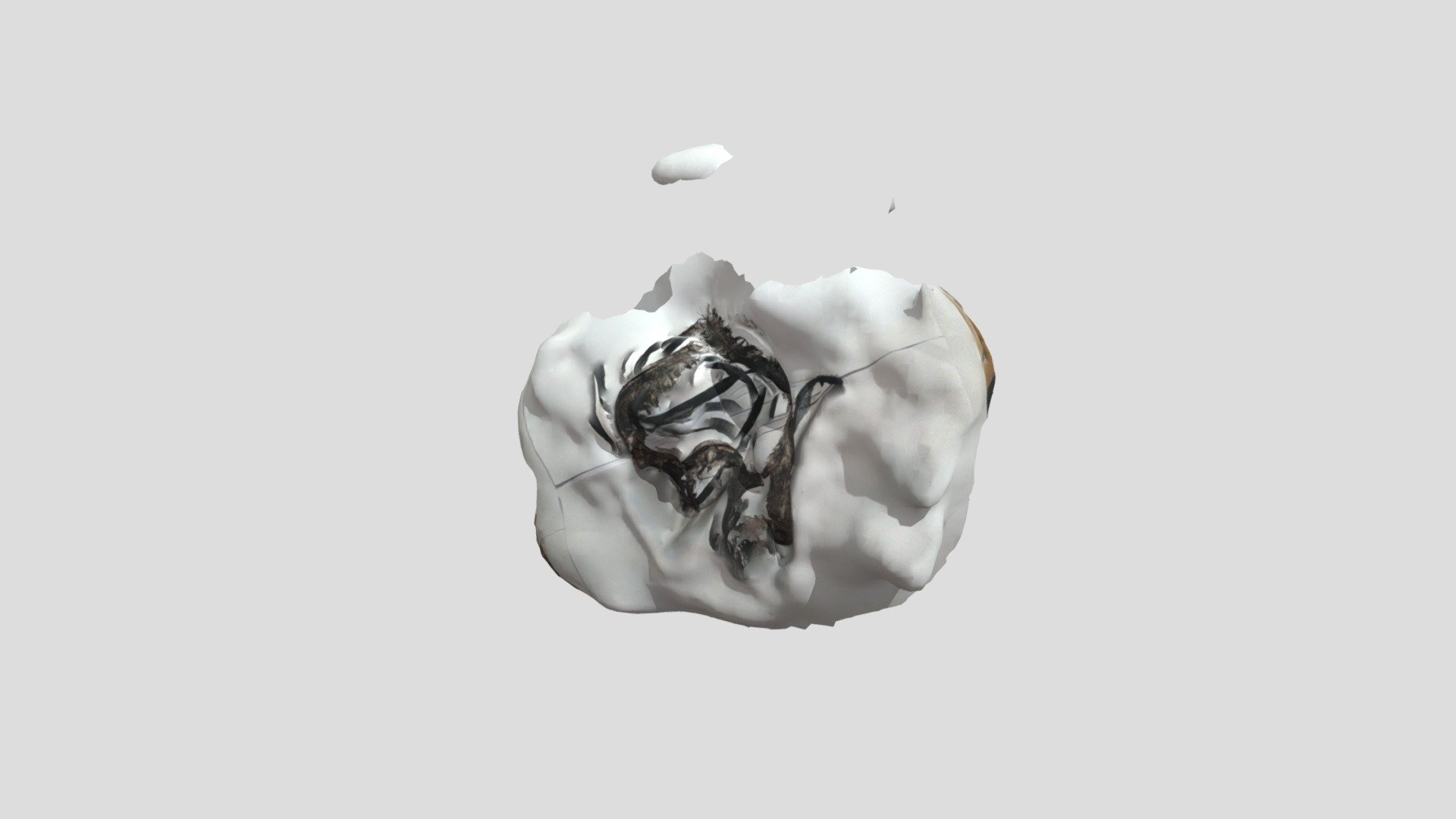 MODEL