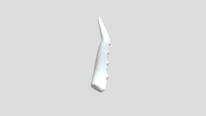 Tentacule De Calamar – Free 3D Model STL