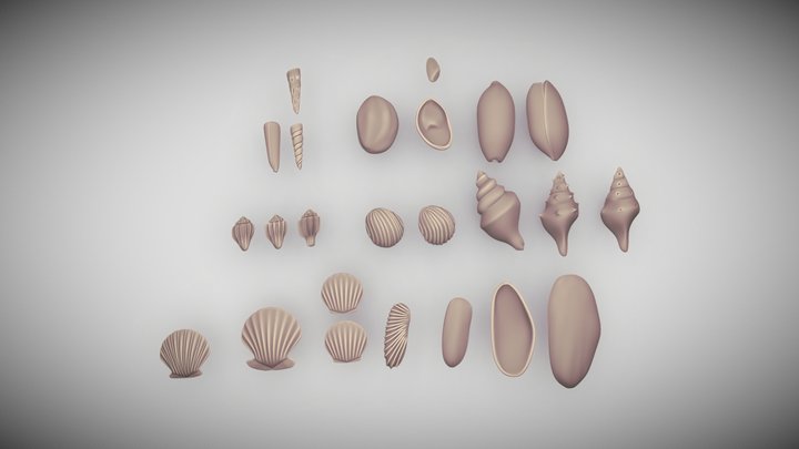 Conchas - Beach Shells 3D Model