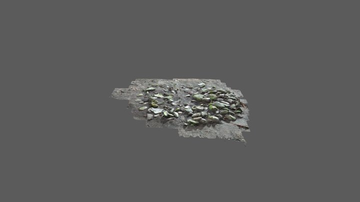 西富遺跡環状列石検出（Metashape1.4） 3D Model