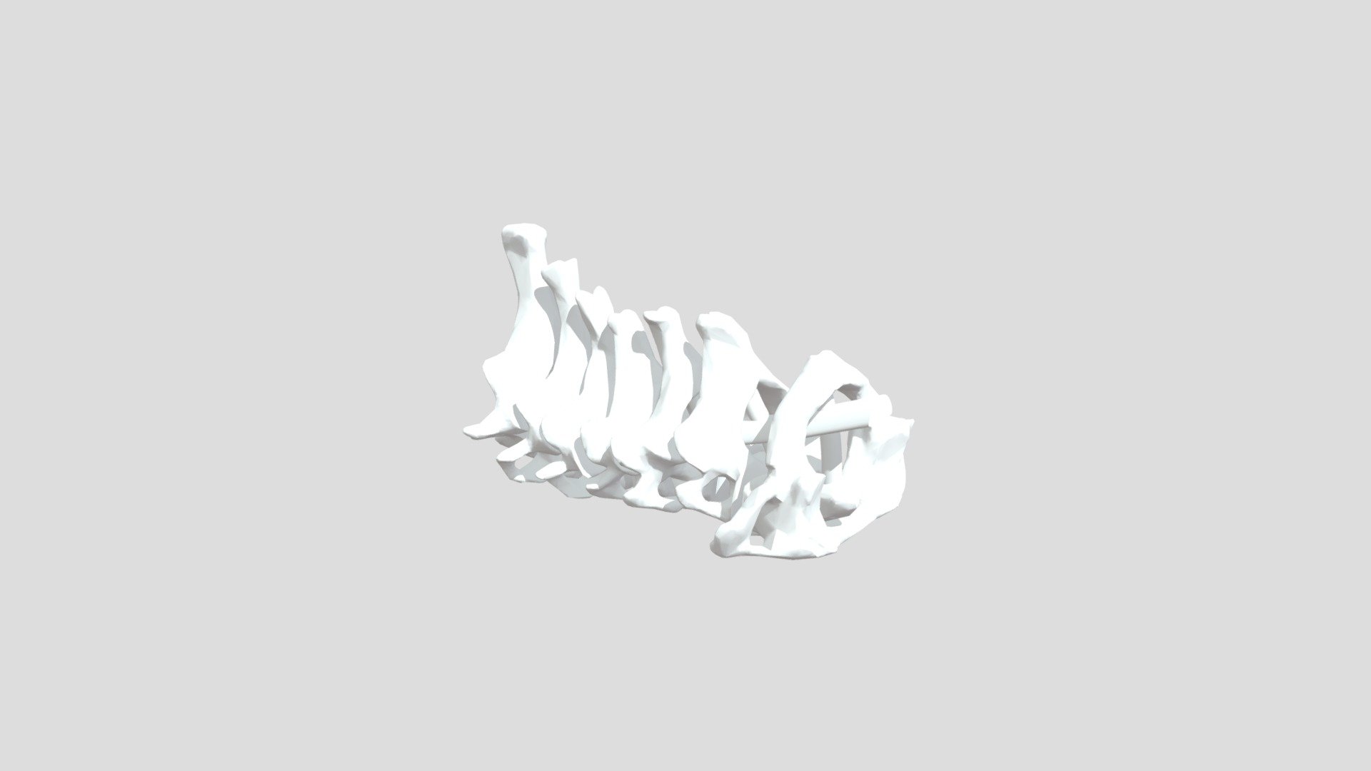 Cervical-vertebrae-1 - 3D model by sadaisaac00 [1a85454] - Sketchfab