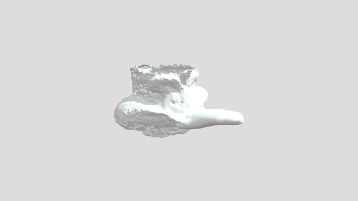 Mikluš_coyote 3D Model