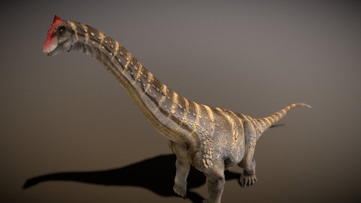 Alamosaurus 3D Model