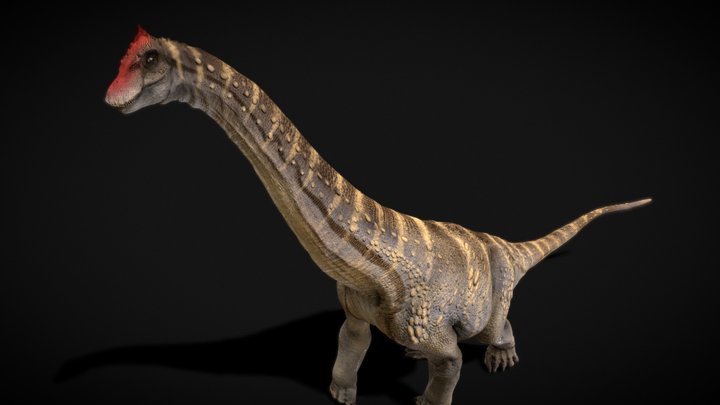 Alamosaurus 3D Model