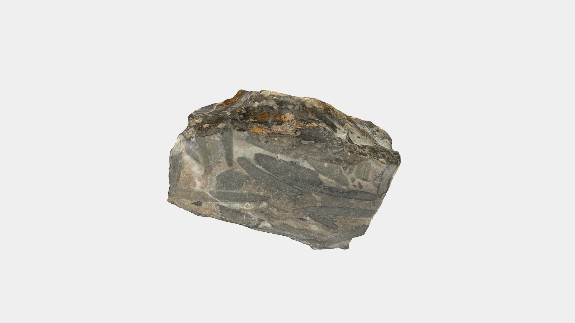 Sedimentary Sample