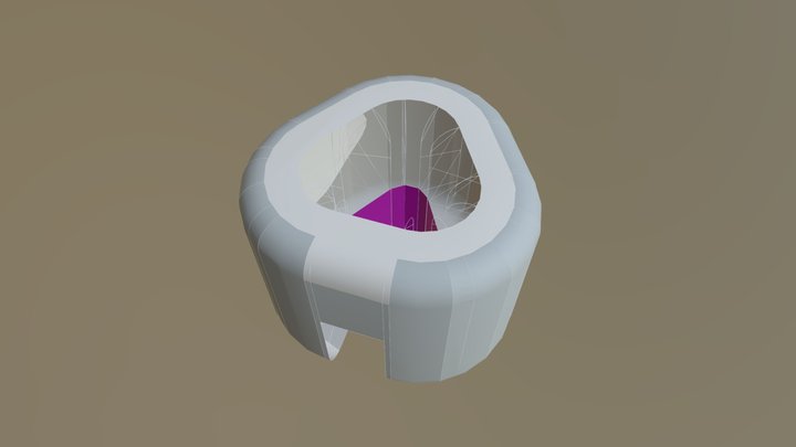 TORUS 3D Model
